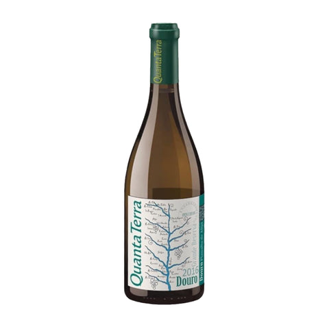 Quanta Terra Grande Reserva White